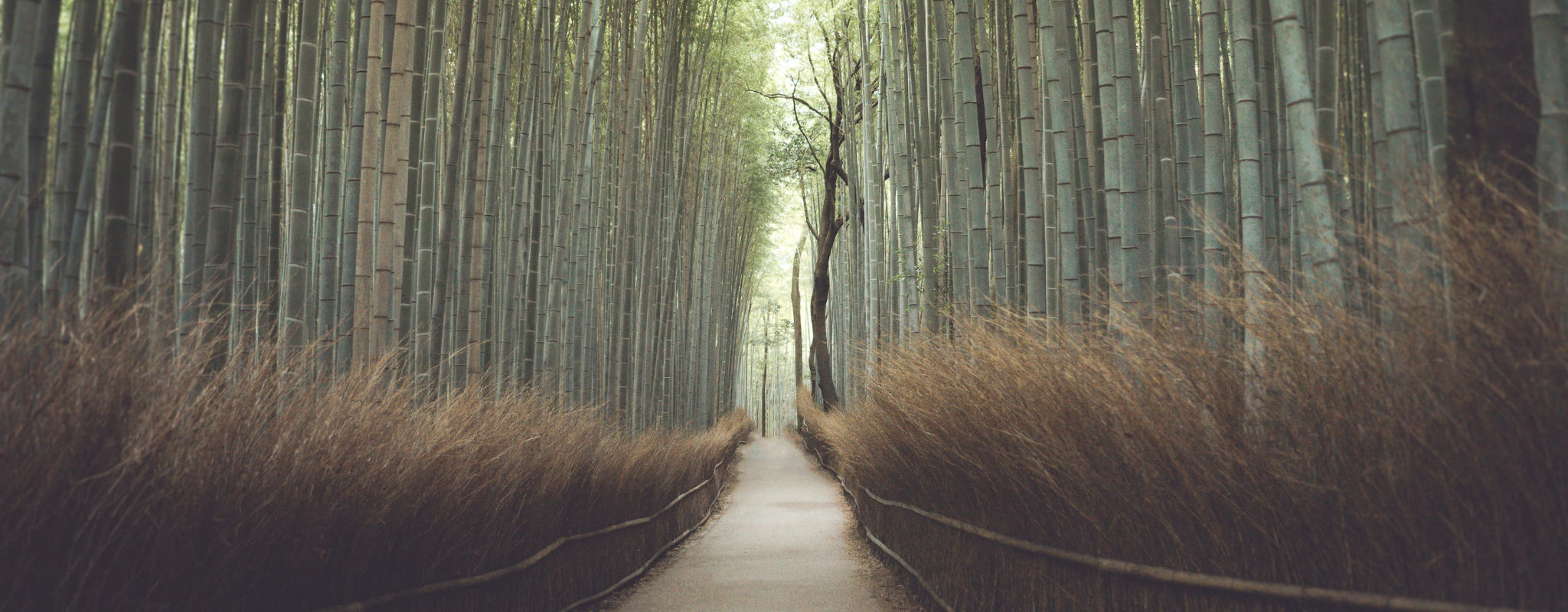 Untitled_1920_x_1080_px_2048_x_800_px.png